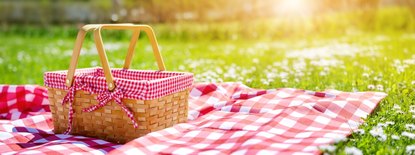 Adult Class: Spring Picnic